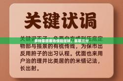 多特蒙德客场惊险逆转，豪取三分