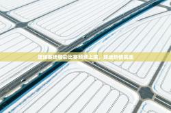 足球赛场精彩比赛频频上演，球迷热情高涨