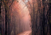 俄罗斯队实力抗衡,欧预赛前景引人期待