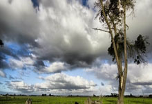 匈牙利选手斩获金牌,实力无与伦比