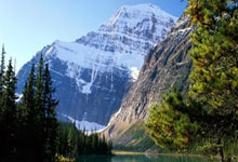 勒沃库森球员在比赛中表现得越来越出色