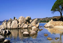 威尔士龙心猛攻,战胜后空润华满