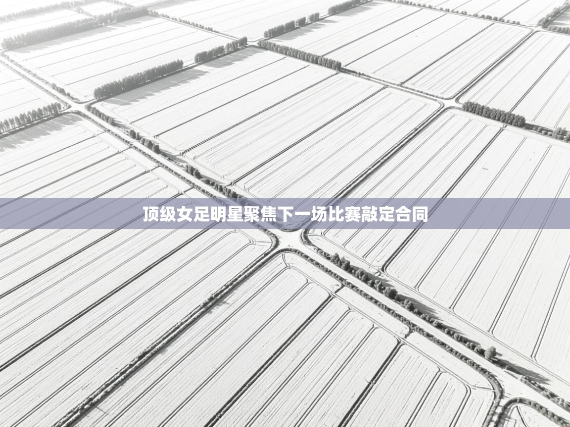 顶级女足明星聚焦下一场比赛敲定合同  第1张