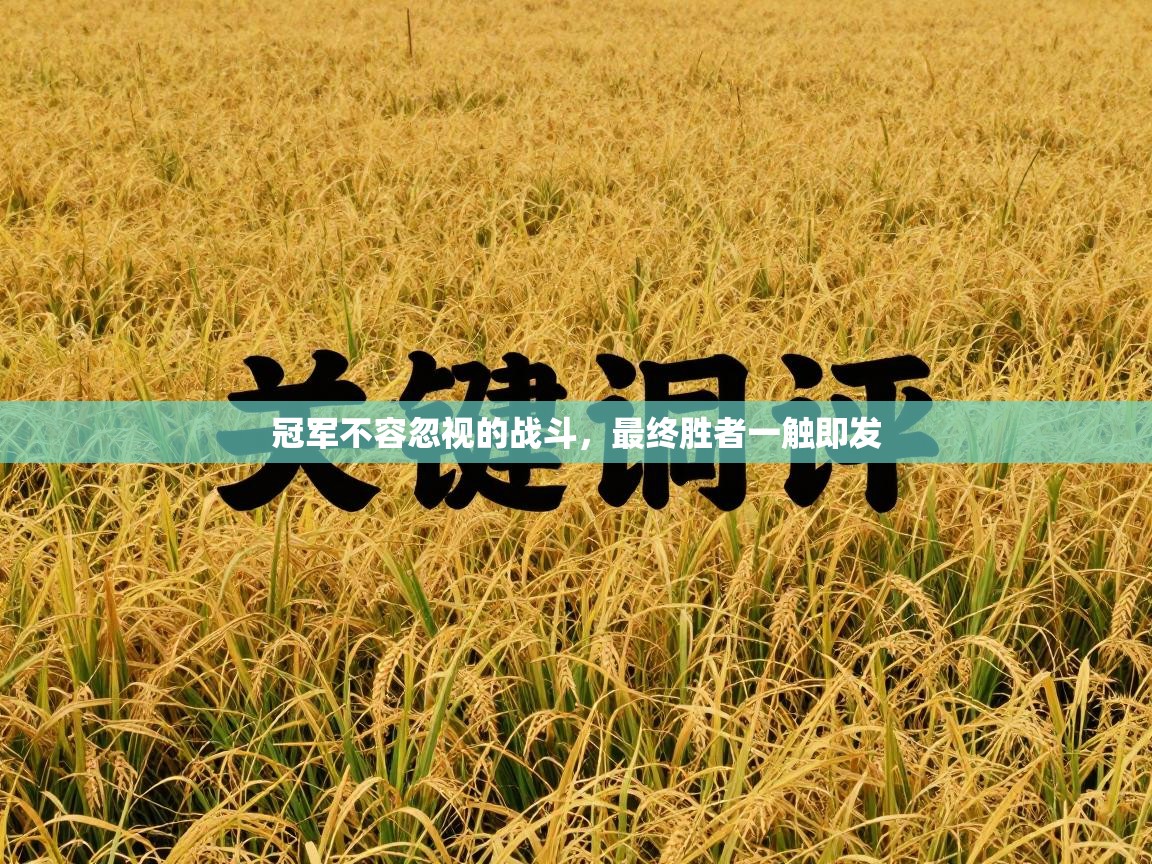 冠军不容忽视的战斗，最终胜者一触即发  第1张