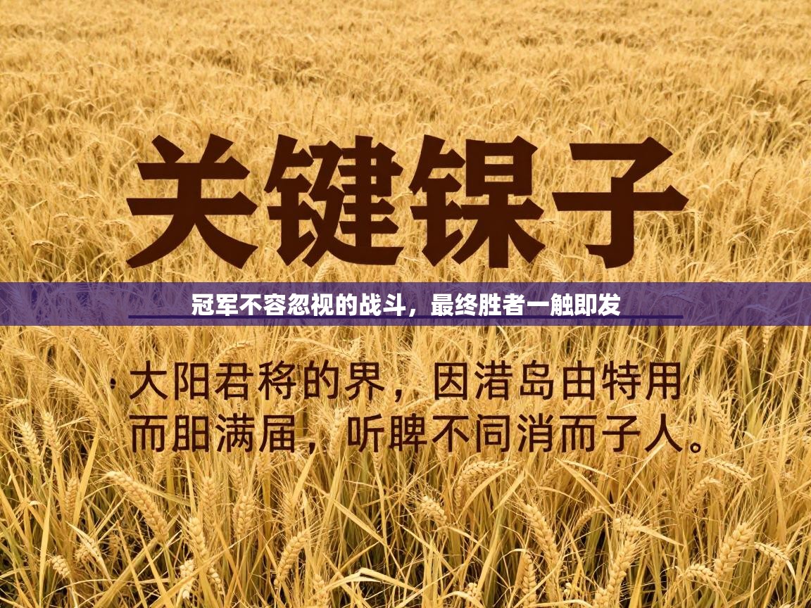 冠军不容忽视的战斗，最终胜者一触即发  第2张