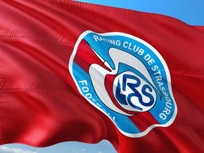 半岛体育官网下载-帕尔梅拉斯主场迎战曼联，锋线火力引爆看点