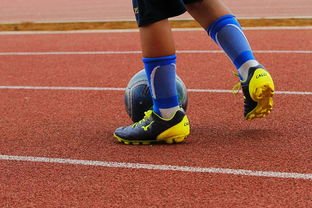 半岛体育官网-魔术主场大胜76人，继续保持不败记录，魔术76人交易