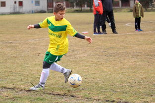 半岛体育app下载-丹麦国家队备战下一场关键对决，丹麦国家队近况